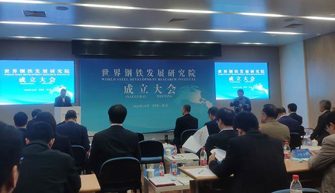 世界鋼鐵發展研究院成立 世界鋼鐵發展研究院成立